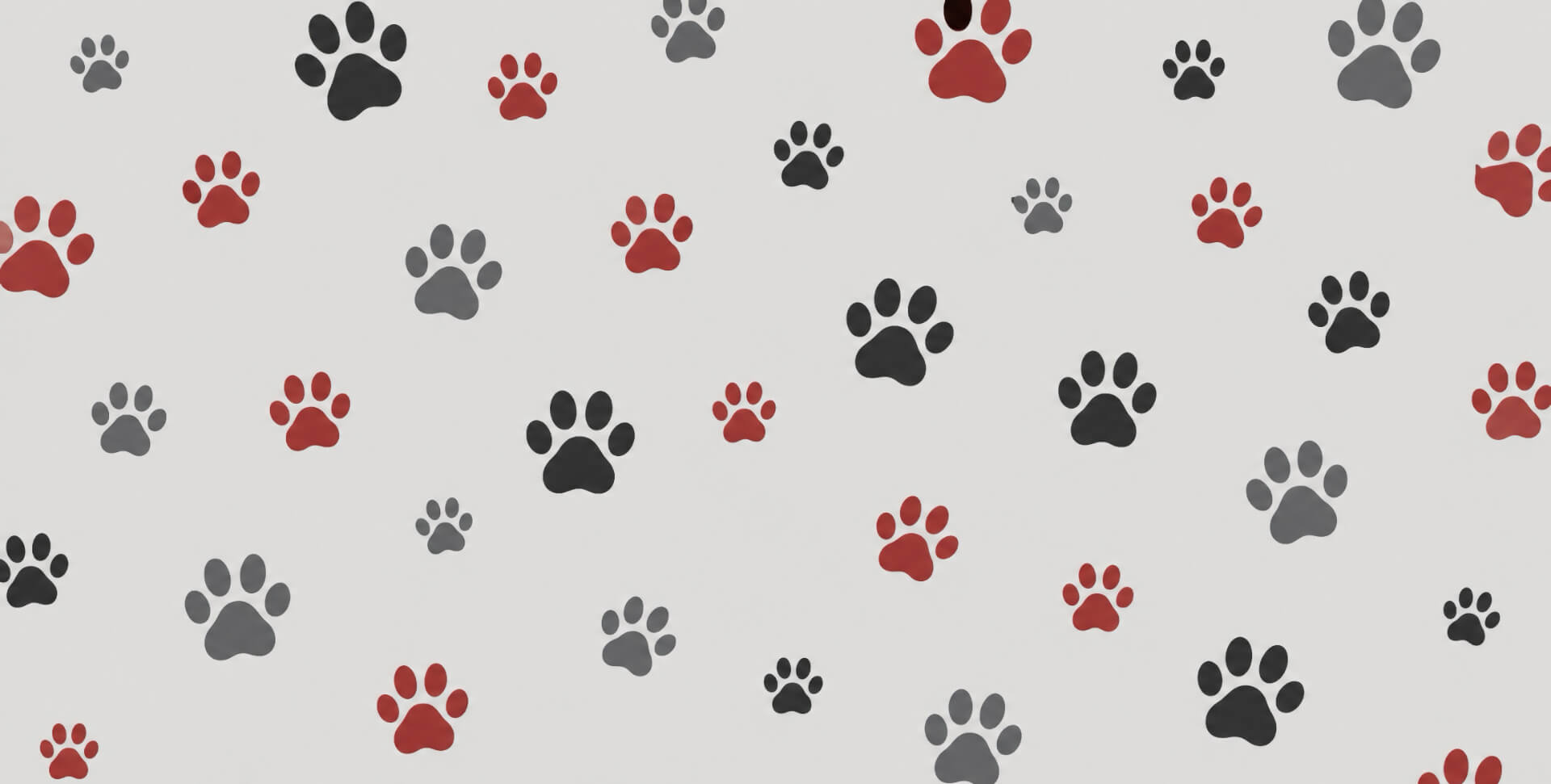 Irvine Veterinarian