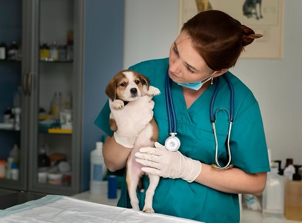 Veterinarian in scrubs gently holding a puppy during a new patient exam, representing puppy and kitten care in Irvine