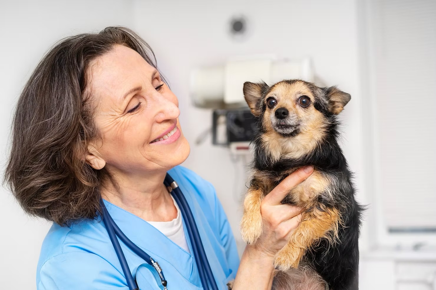 Smiling veterinarian in blue scrubs holding a small mixed-breed dog during a routine wellness visit in Irvine
